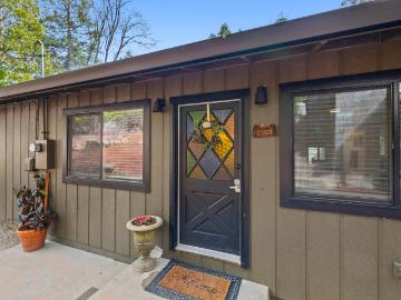 24045 Pine Cone
