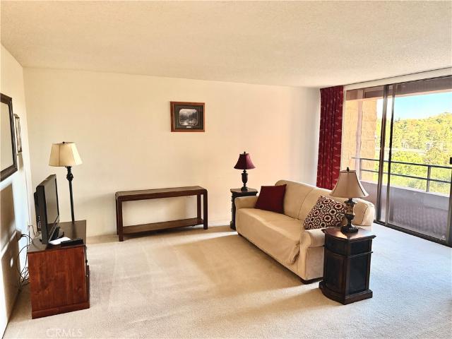 24055 Paseo Del Lago