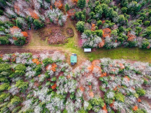 240 Acres Long Lake Road