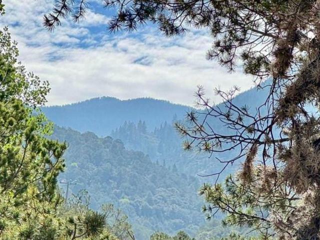 240 HECTAREAS EN VENTA SIERRA DE ARTEAGA MUY CERCA DE SAN ANTONIO DE LAS ALAZANAS