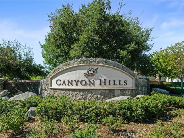 24174 Carnation