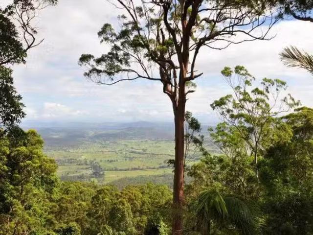 242 Beacon Road, Tamborine Mountain, QLD 4272