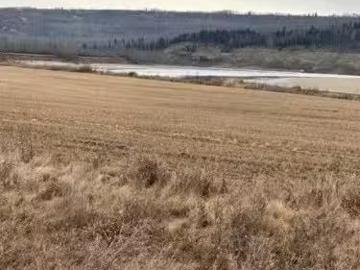 242A Range, Rural Birch Hills County, AB, T0H 3R0 vacant la.