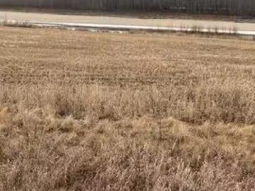 242A Range, Rural Birch Hills County, AB, T0H 3R0 vacant la.