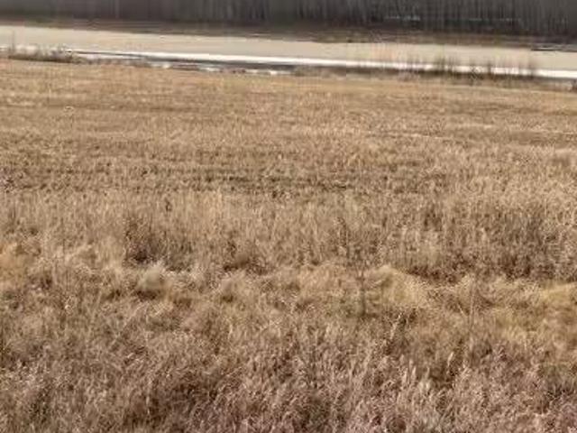 242A Range, Rural Birch Hills County, AB, T0H 3R0 vacant la.