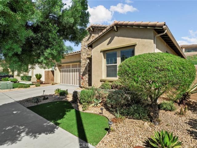 24446 Overlook Drive