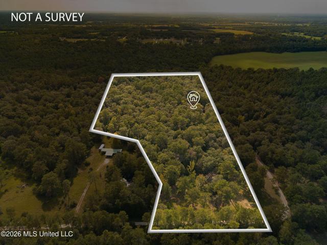 24433 Catahoula Lane