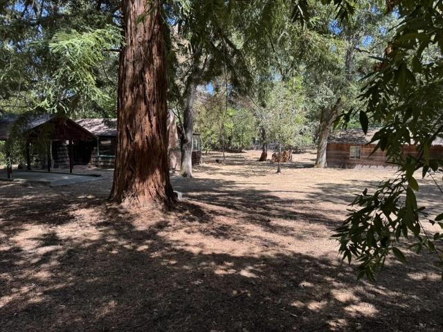 245 Bonita Road