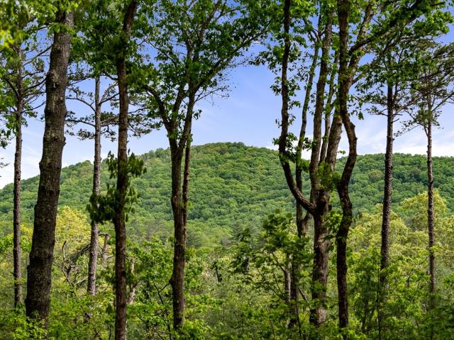 245 Old Anderson Creek, Ellijay, GA 30536 | MLS #7791