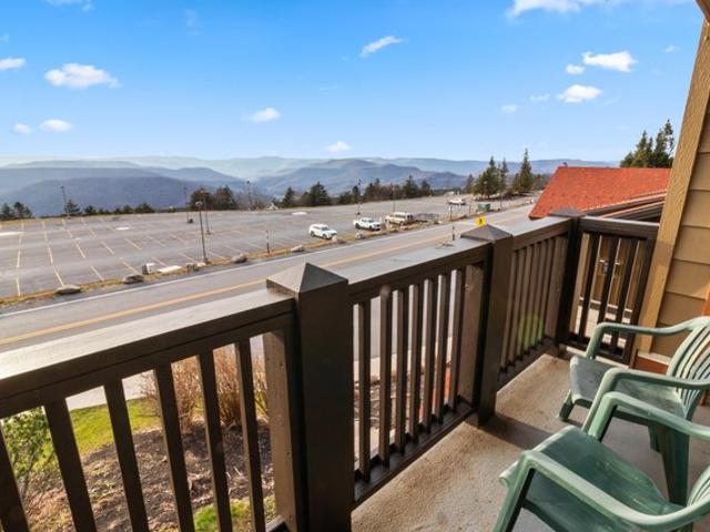 245 Rimfire, Snowshoe, WV 26209