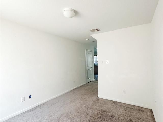 245 Water Oak
