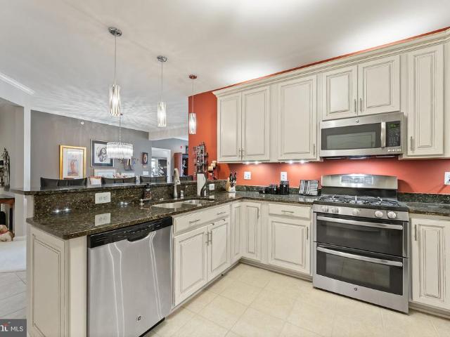 24661 Woolly Mammoth Terrace # 403