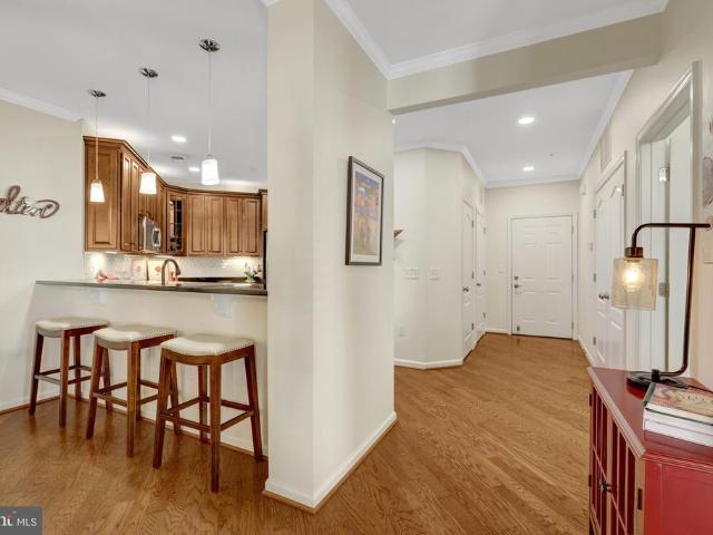 24637 Woolly Mammoth Terrace # 307