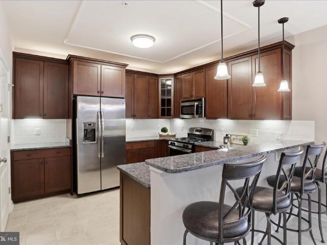 24636 Woolly Mammoth Terrace # 202