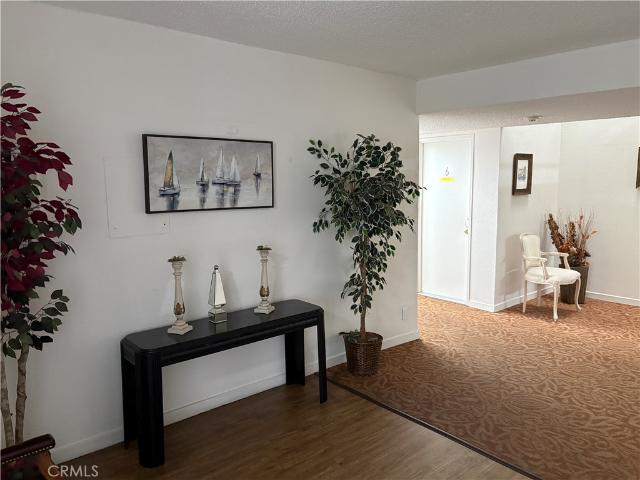 246 E Fern 103