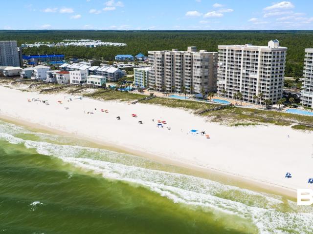 24770 Perdido Beach Boulevard APT 402