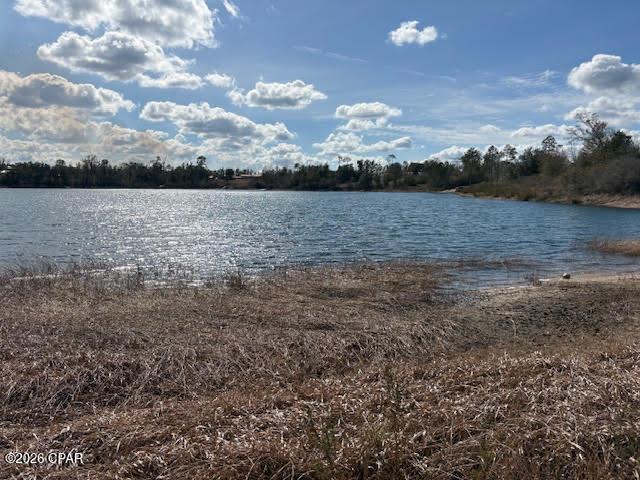 24798 County Road 73A, Altha, FL 32421 | MLS #785203