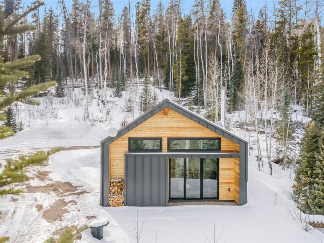 24700 Lone Tooth Trl, Oak Creek, CO 80467 | MLS #S1066