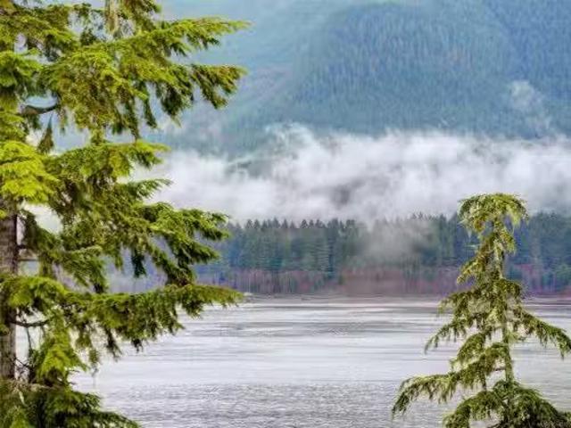 247 6596 Baird Rd, Port Renfrew, BC, V0S 1K0 house for sale.