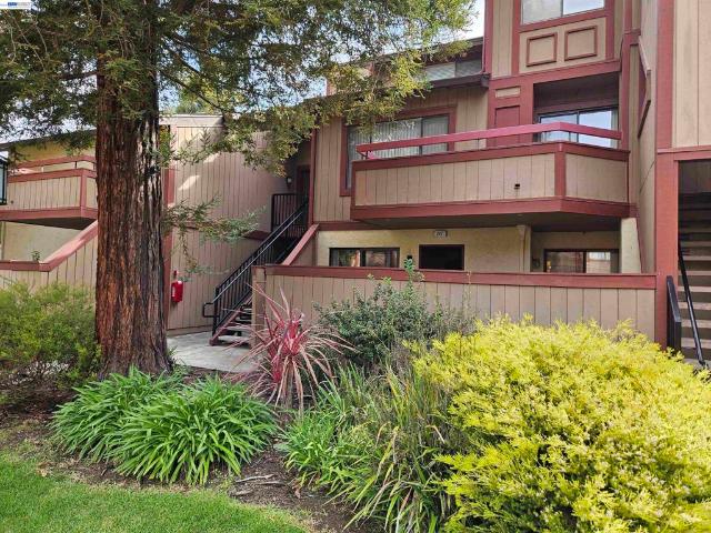 247 E Warren Cmn