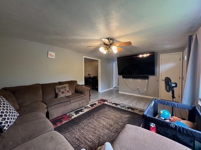 247 Manor Drive