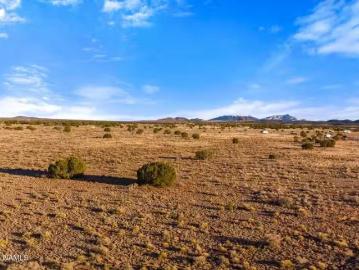2485 S AVONDALE RD, WILLIAMS, AZ 86046