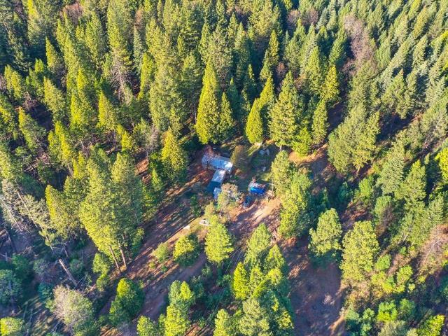 24825 Harrison St, Foresthill, CA 95631 | MLS #225013