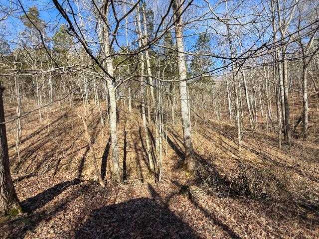 248 Sulphur Lick Road