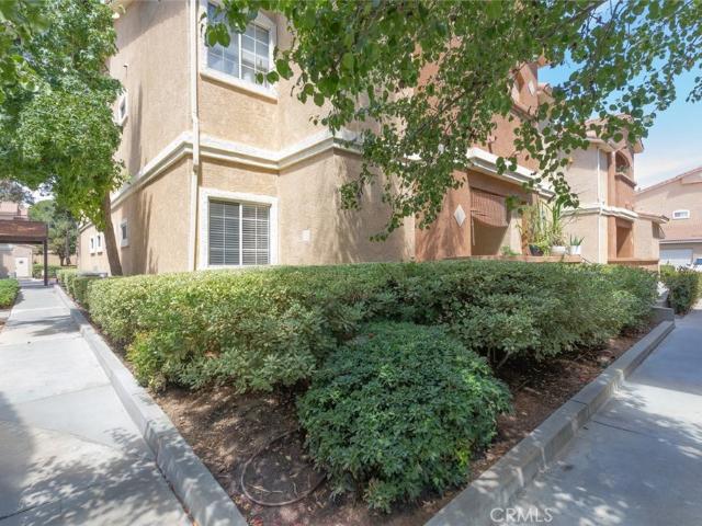 24909 Madison 514