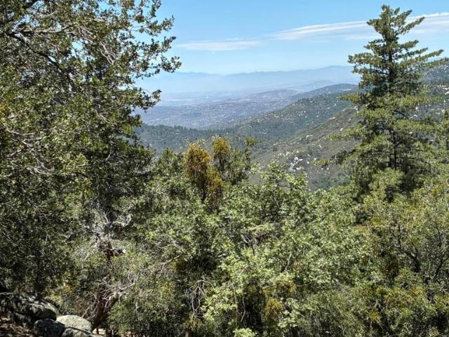 24930 Pine Cove Road