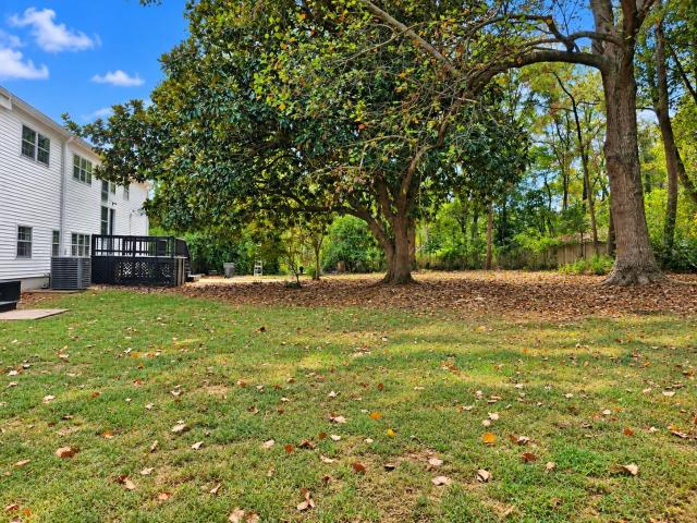 249 ailene dr