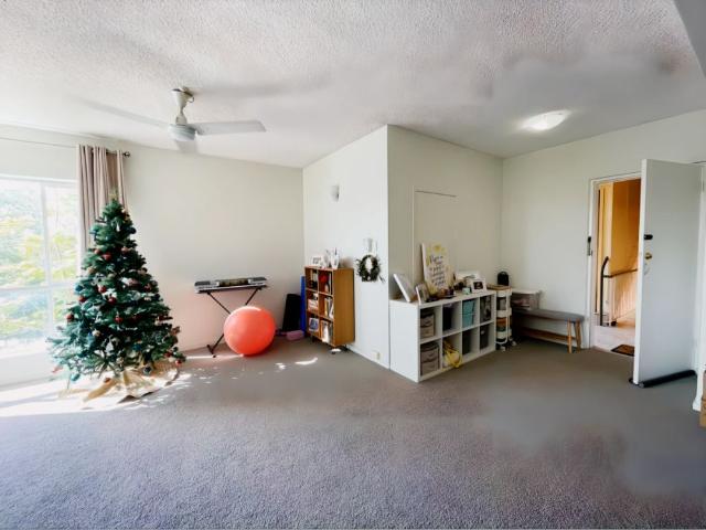 249 Hawken Drive, Brisbane
