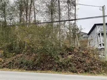 249 North Shore Rd, Lake Cowichan, BC, V0R 2G1 vacant land f.