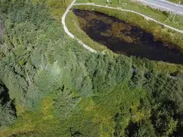 24 28 Penney'S Hill Road, Victoria, NL, A0A 4G0 vacant land.