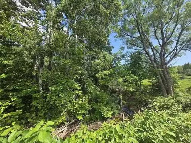 24 2 College Grant Road, College Grant, NS, B0K 1R0 vacant l.