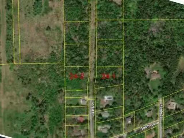24 2 Forest Drive Extension, Pictou, NS, B0K 1H0 vacant land.