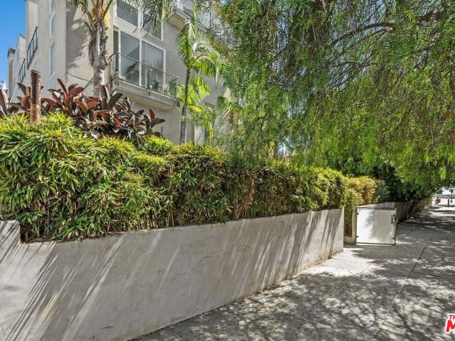 24 YAWL Street 2