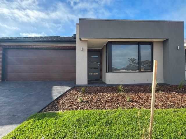 24 Bindaree Drive, Melton South