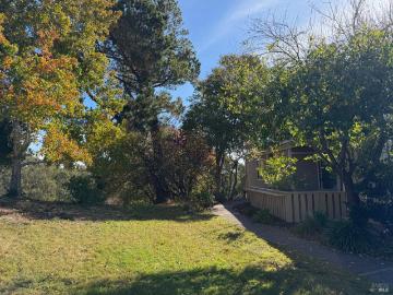 Tamalpais-Homestead Valley, Marin County, California, USA