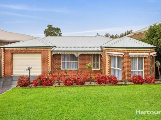24 Cardiff Street, Bell Post Hill, VIC 3215