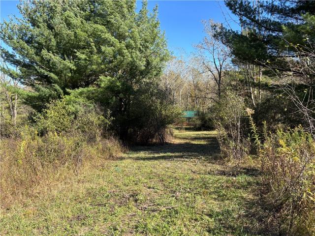 2507 Shanty Plains Road