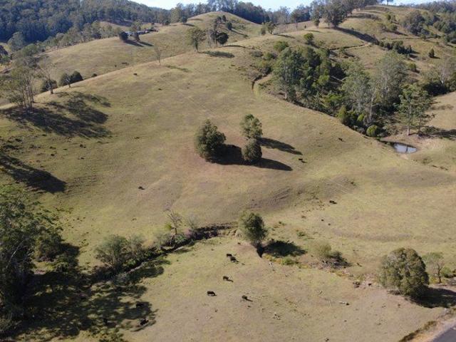 250 Acres in the renowned Waukivory Valley