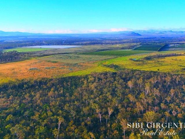 250 Acres of top soil and a clean slate MAKE PADDY'S GREEN YOURS TODAY