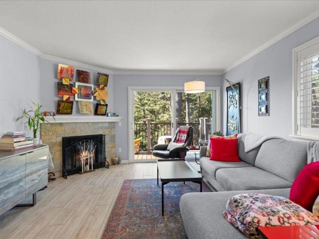 250 forest ridge 70