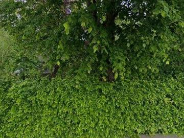 250 m2 apartment for rent in Herent