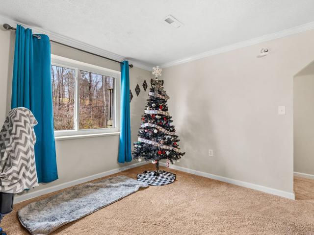 250 McDeerman Rd