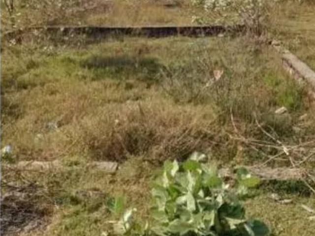 250 Sq.Yd. Plot in Sector 84 Faridabad Listing ID: #10318