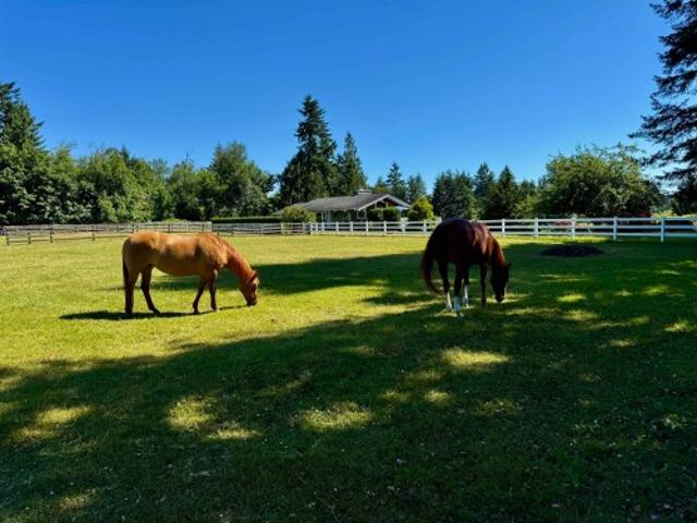 2517 Avenue, Langley, BC, V4W 1H5 house for sale | Listing ID R3166 | Royal LePage