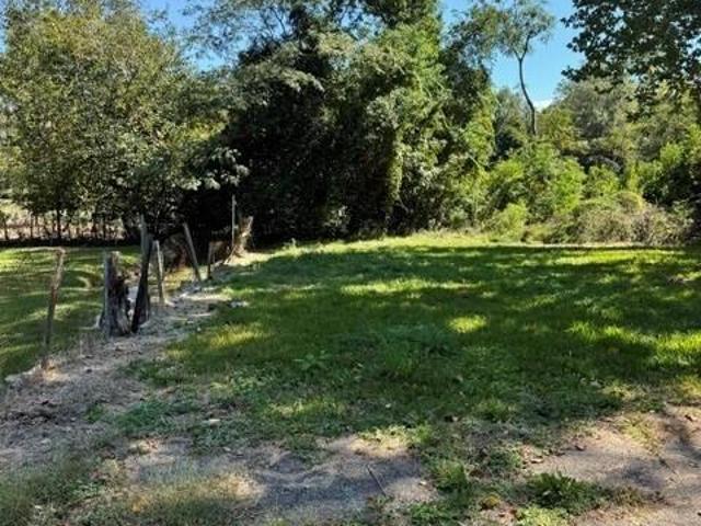 2513 Rhodes Drive
