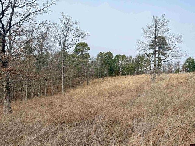 251 Cold Mountain Ter, Yellville, AR 72687